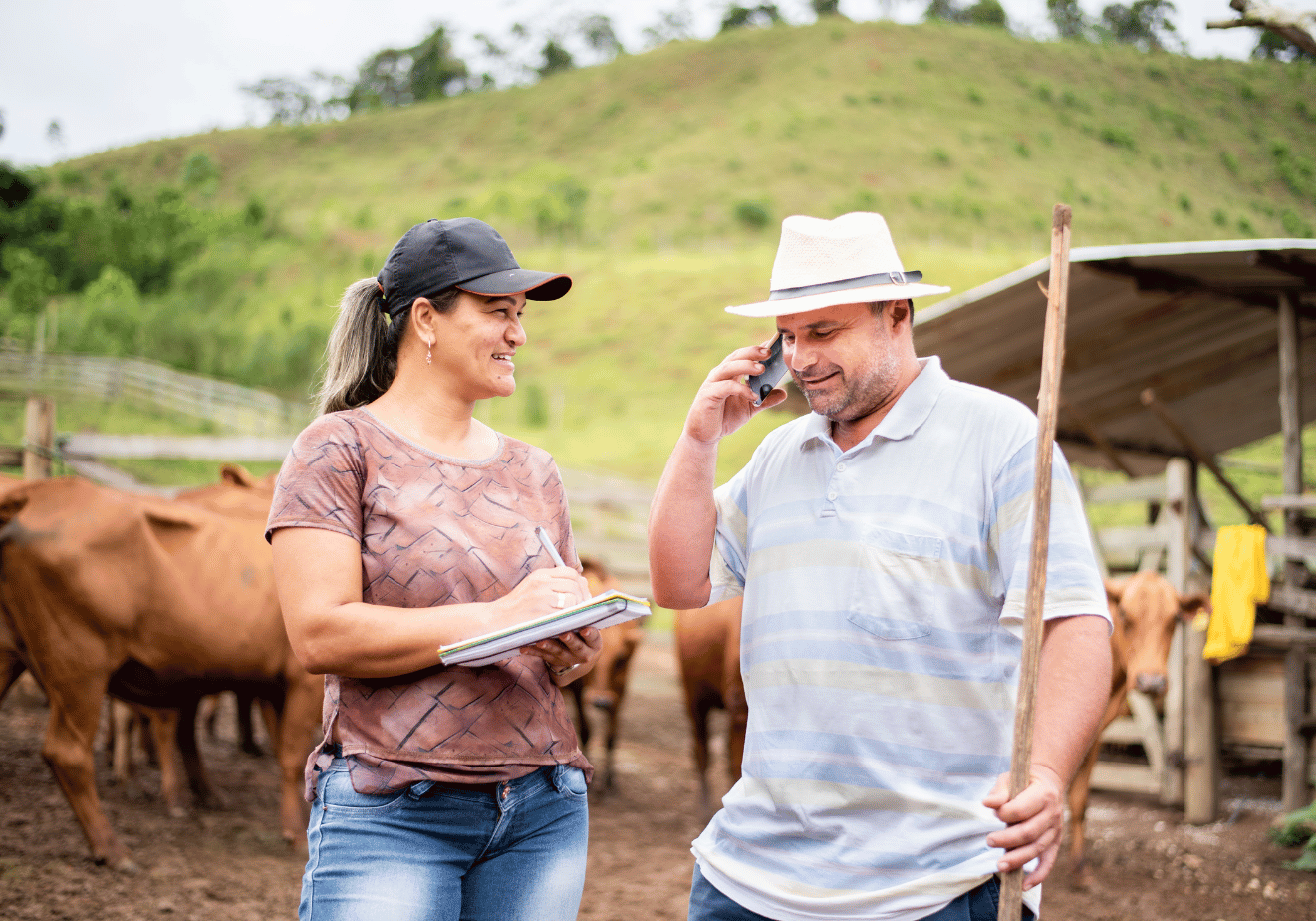 How to get a job as a livestock manager in New Zealand | Jora