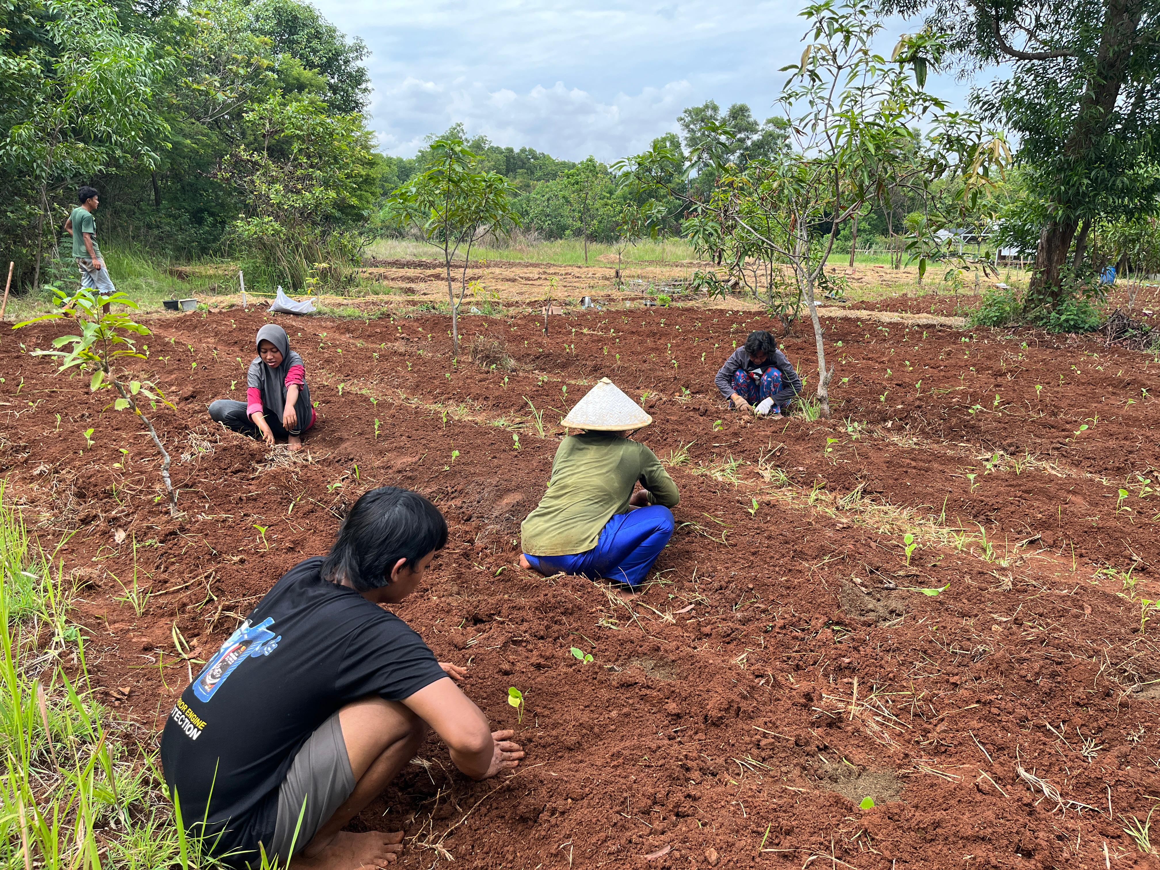 WhatsApp Image 2026-01-13 at 21.22.58.jpeg