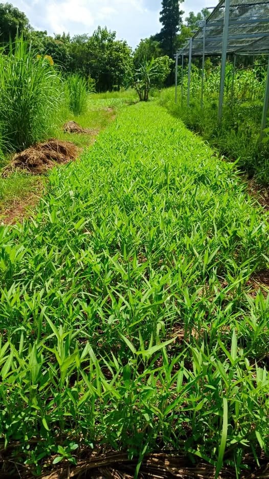 WhatsApp Image 2026-01-20 at 18.11.24 (1).jpeg