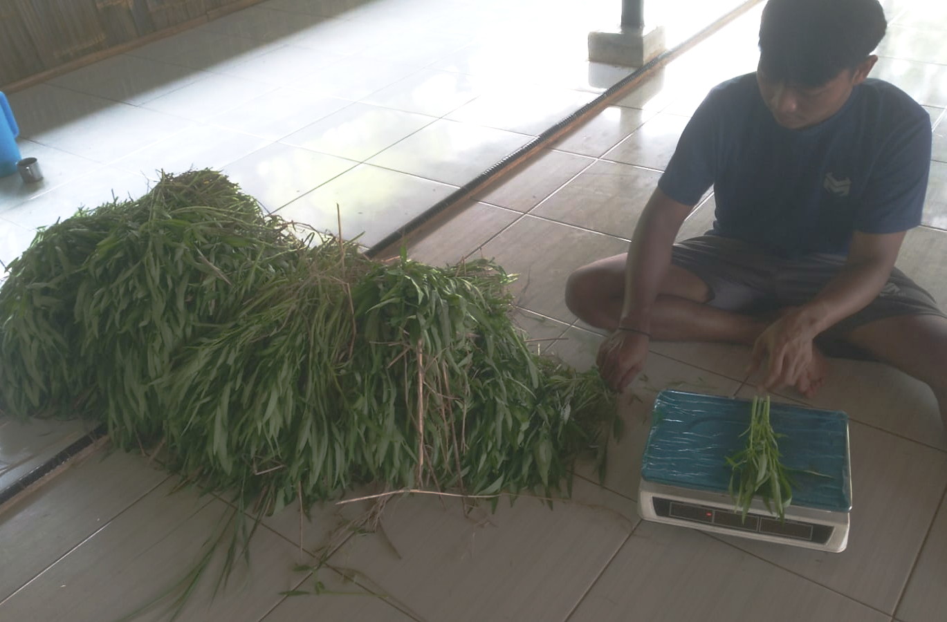 WhatsApp Image 2026-01-20 at 18.07.44 (2).jpeg