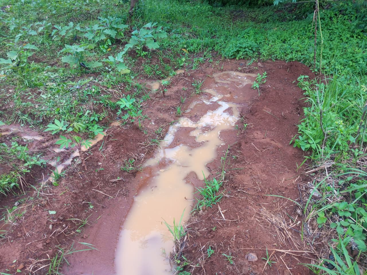 WhatsApp Image 2026-01-24 at 18.05.34 (2).jpeg