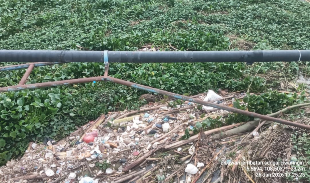 WhatsApp Image 2026-01-28 at 13.49.27.jpeg