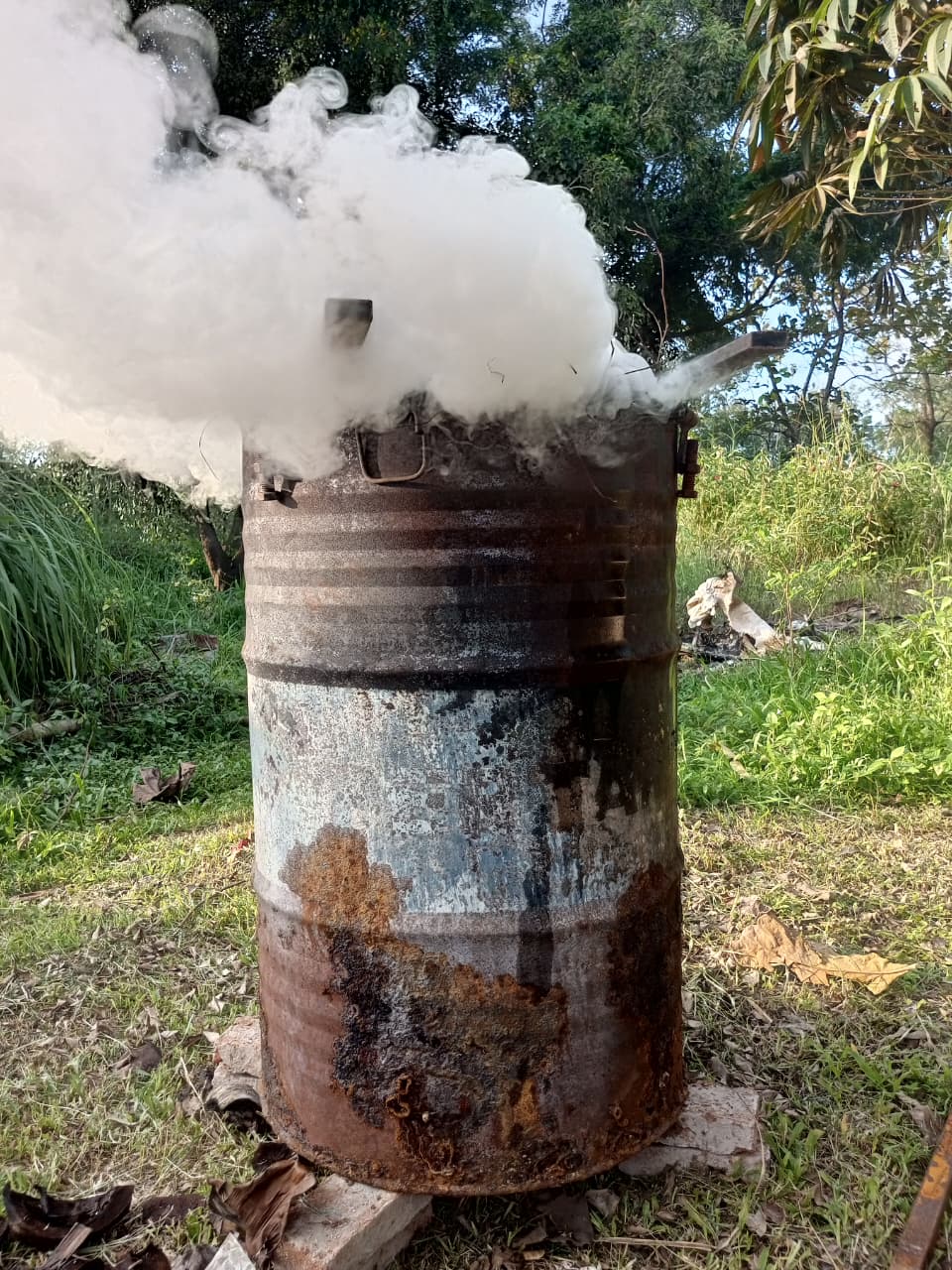 WhatsApp Image 2026-04-27 at 16.12.55 (1).jpeg