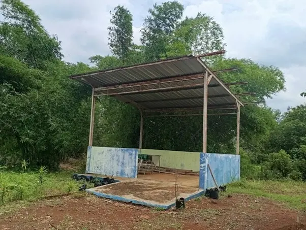 Picture5.jpg