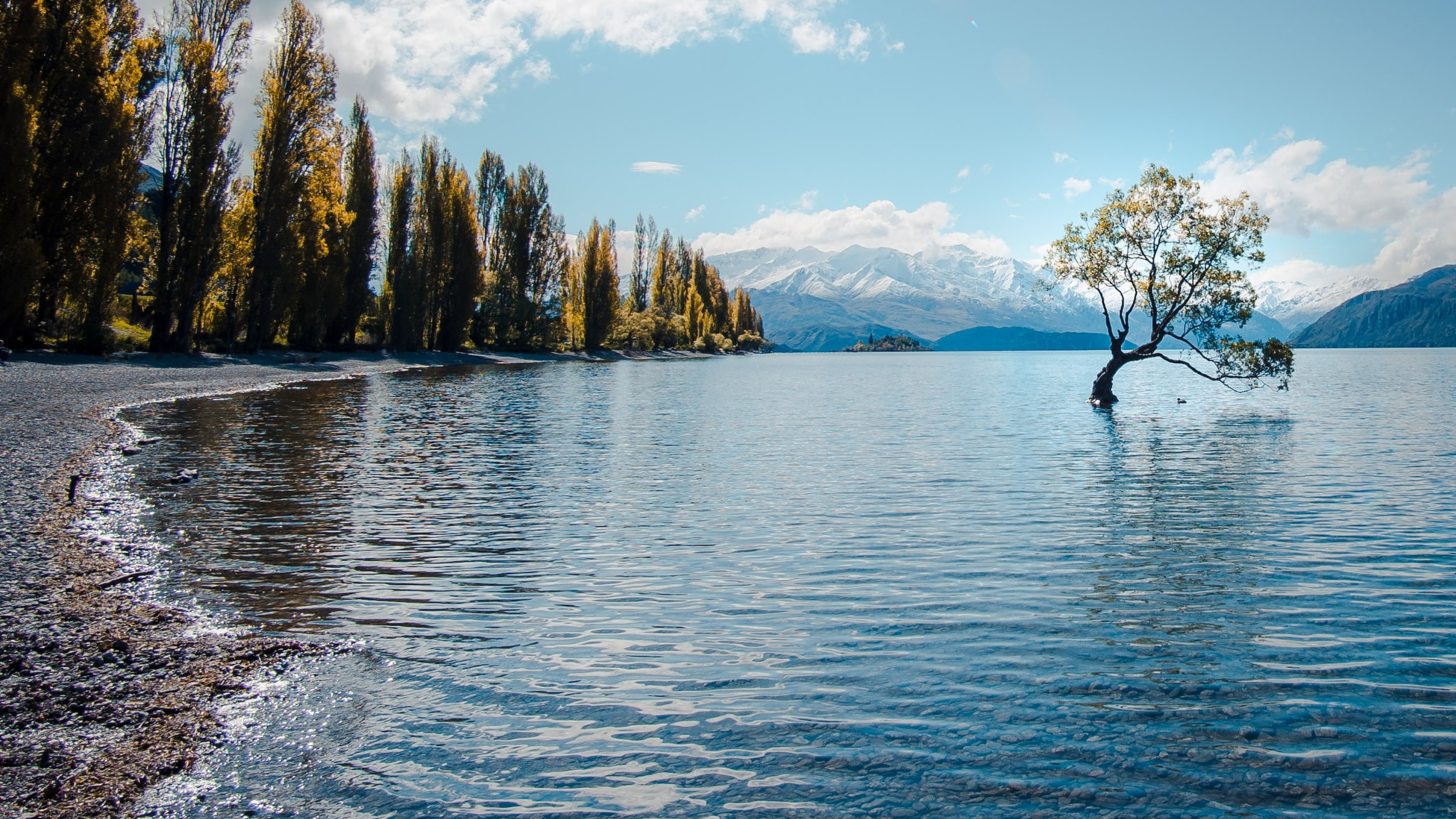 Image of a lake and some trees