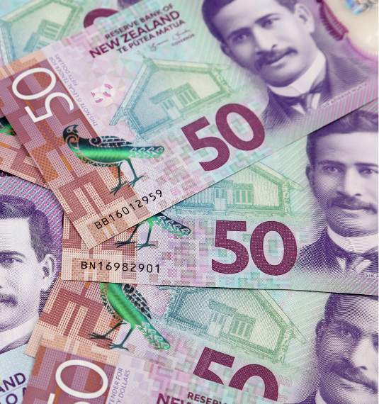 New Zealand fifty dollar bills