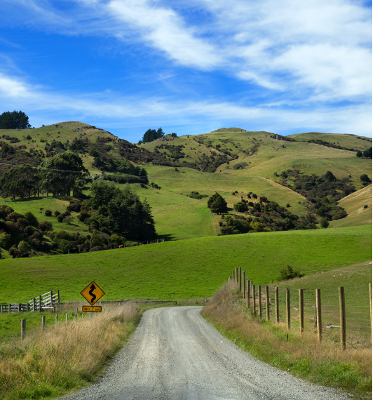 A road running towards green New Zealand pastures with fences on either side and blue sky to represent KiwiSaver changes for farm buyers and rural workers