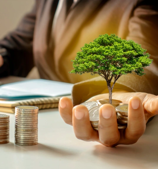 A person holds coins in their hand and a small tree to represent growth. 