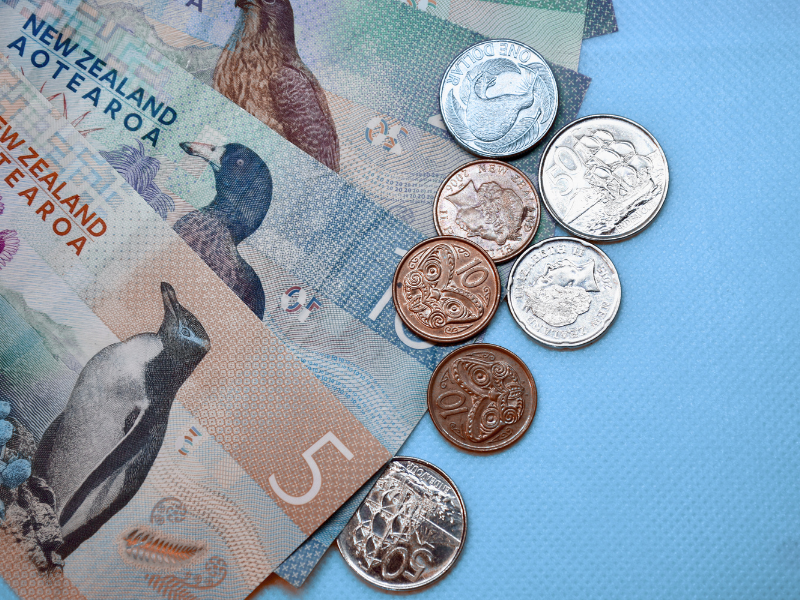 NZ money notes and coins.png