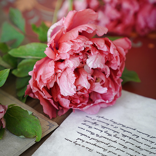 flower with written letter.jfif