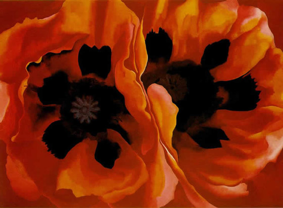 okeeffe poppies.jfif