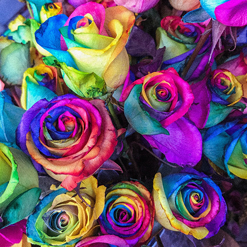 colour stained flowers.jfif