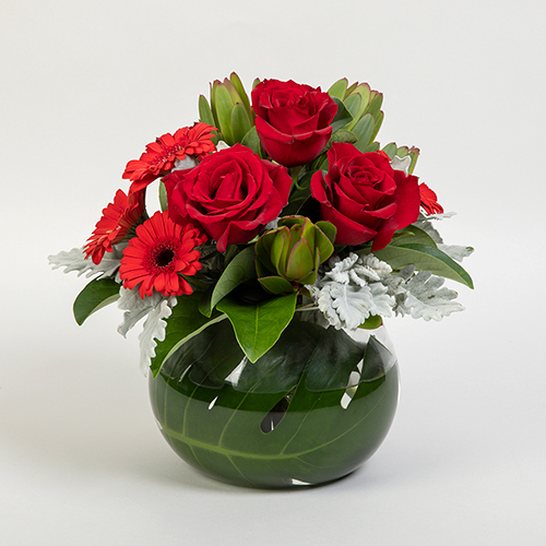 INT0029_Christmas Blog_Gerberas (1).jpg