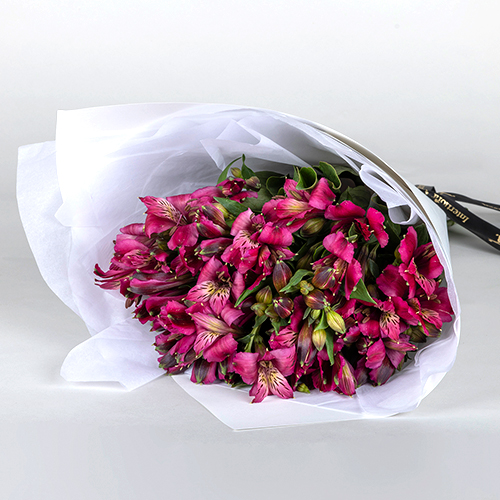 INT0029_Christmas Blog_Alstroemerias (1).jpg