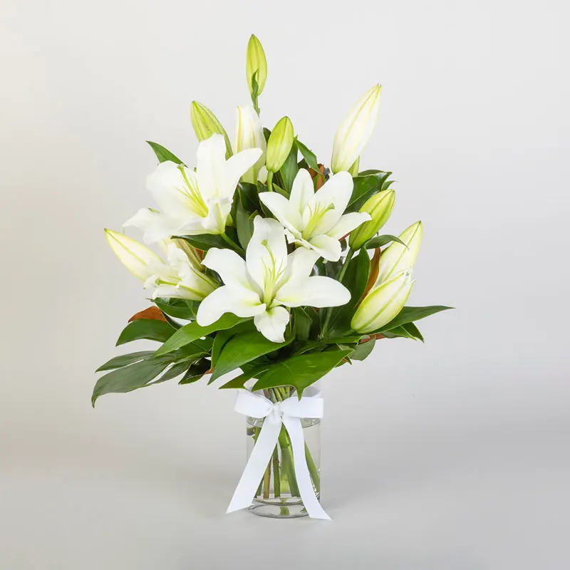 cmechejvquy70072pjt0fy5xs.webp