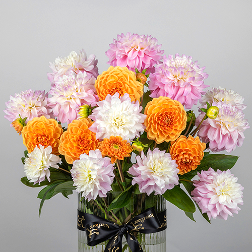 INT0029_Christmas Blog_Dahlia (1).png