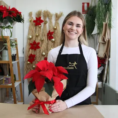 Poinsettia LS.jpg
