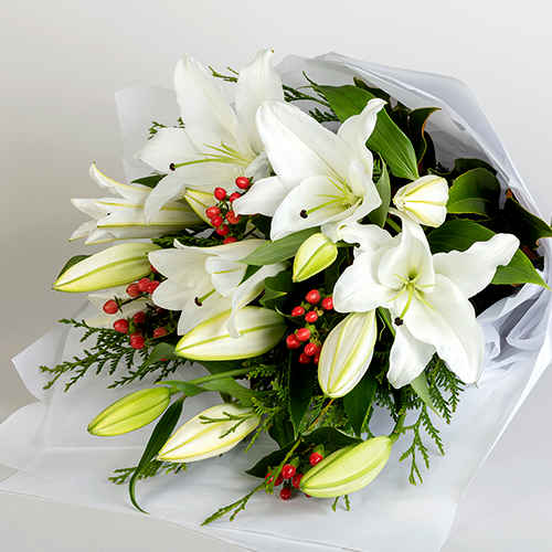 White Oriental Lily