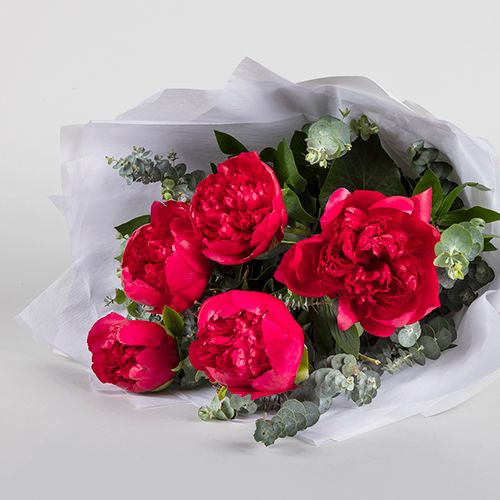 INT0029_Christmas Blog_Peonies (1).jpg