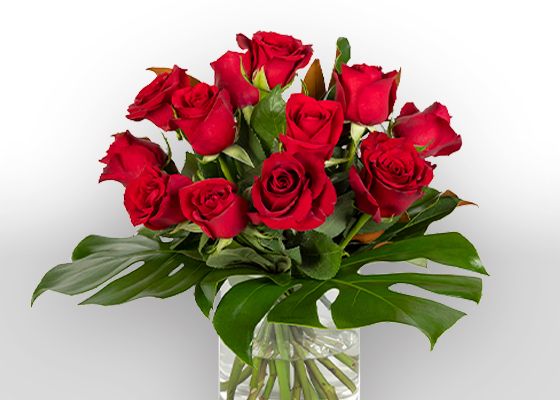 red roses
