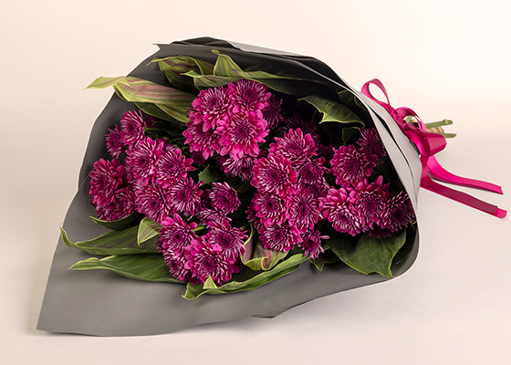 Chrysanthemums