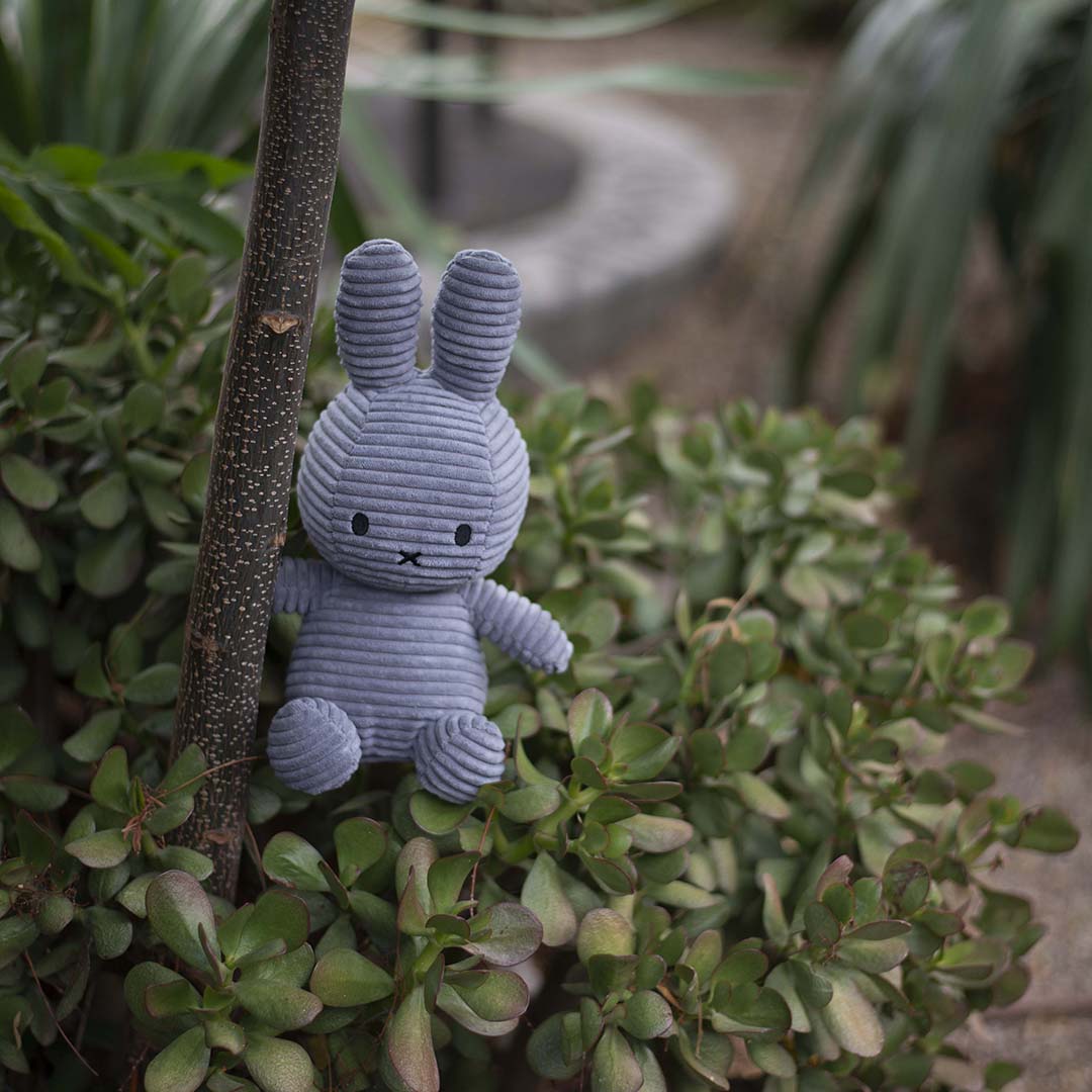 grey miffy in tree.jfif