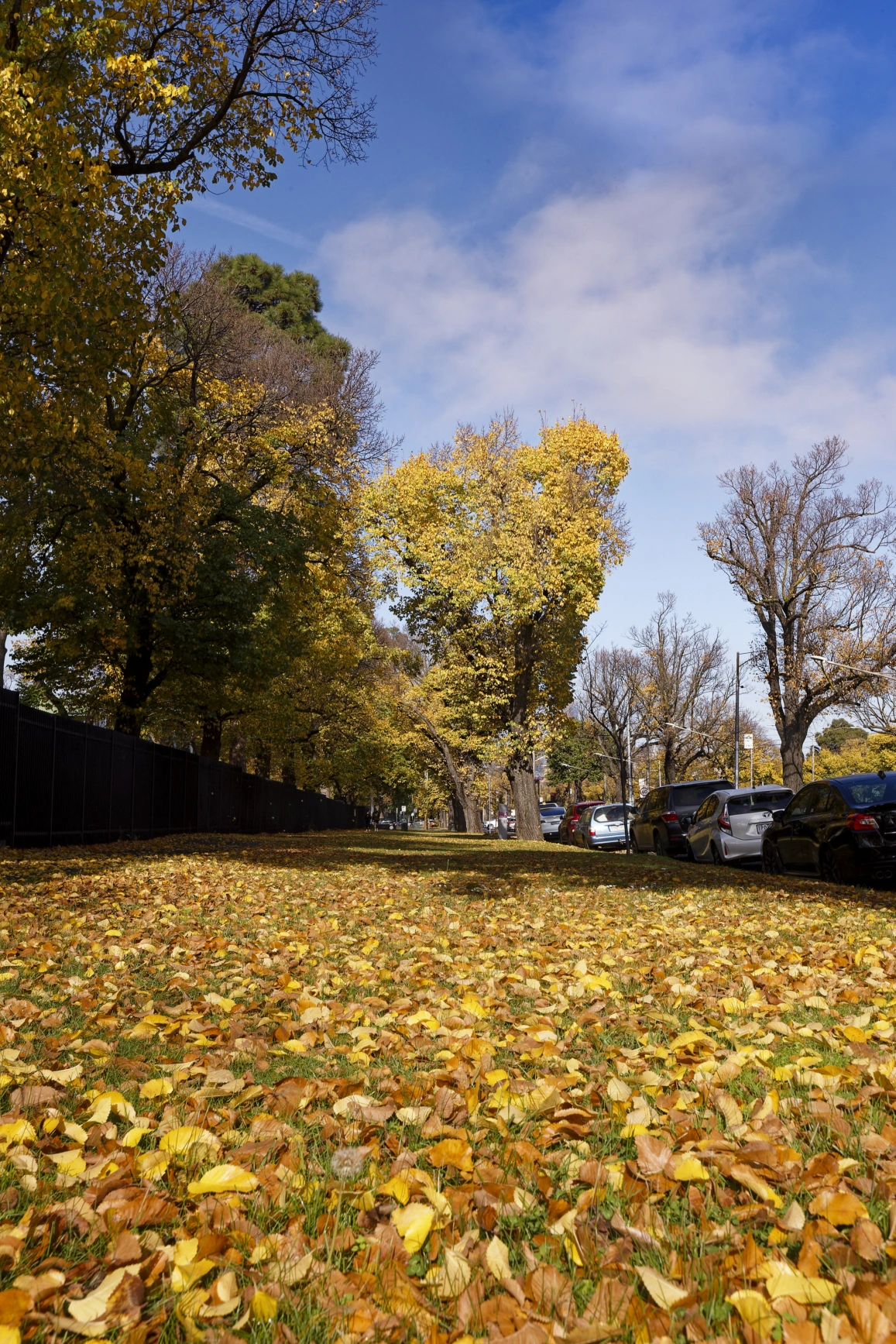 Minimum Base Salary Requirement of AUD70000 a year for Employer Sponsored visas image