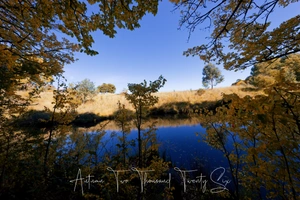 Australian Landscape