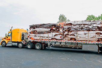 Your hassle-free solution for Car Disposal