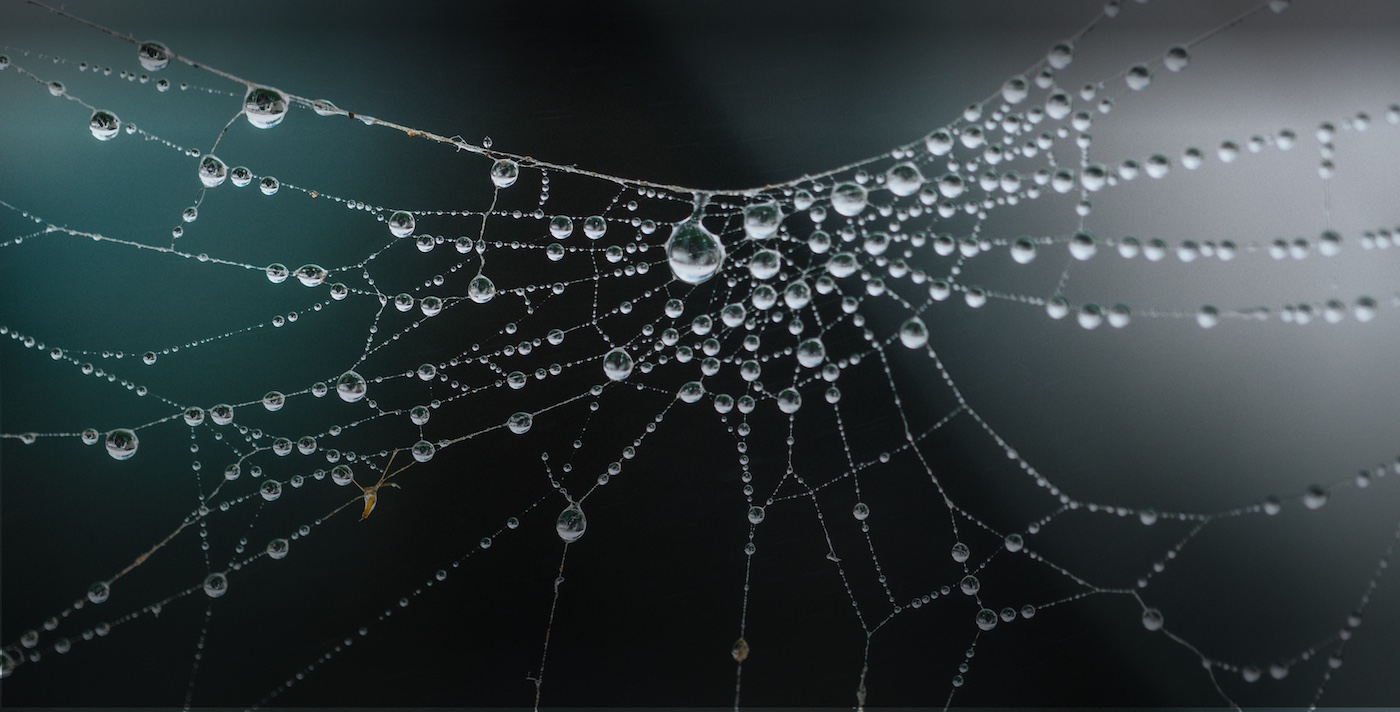 Feature image for Project for the Web with Microsoft’s Project Accelerator