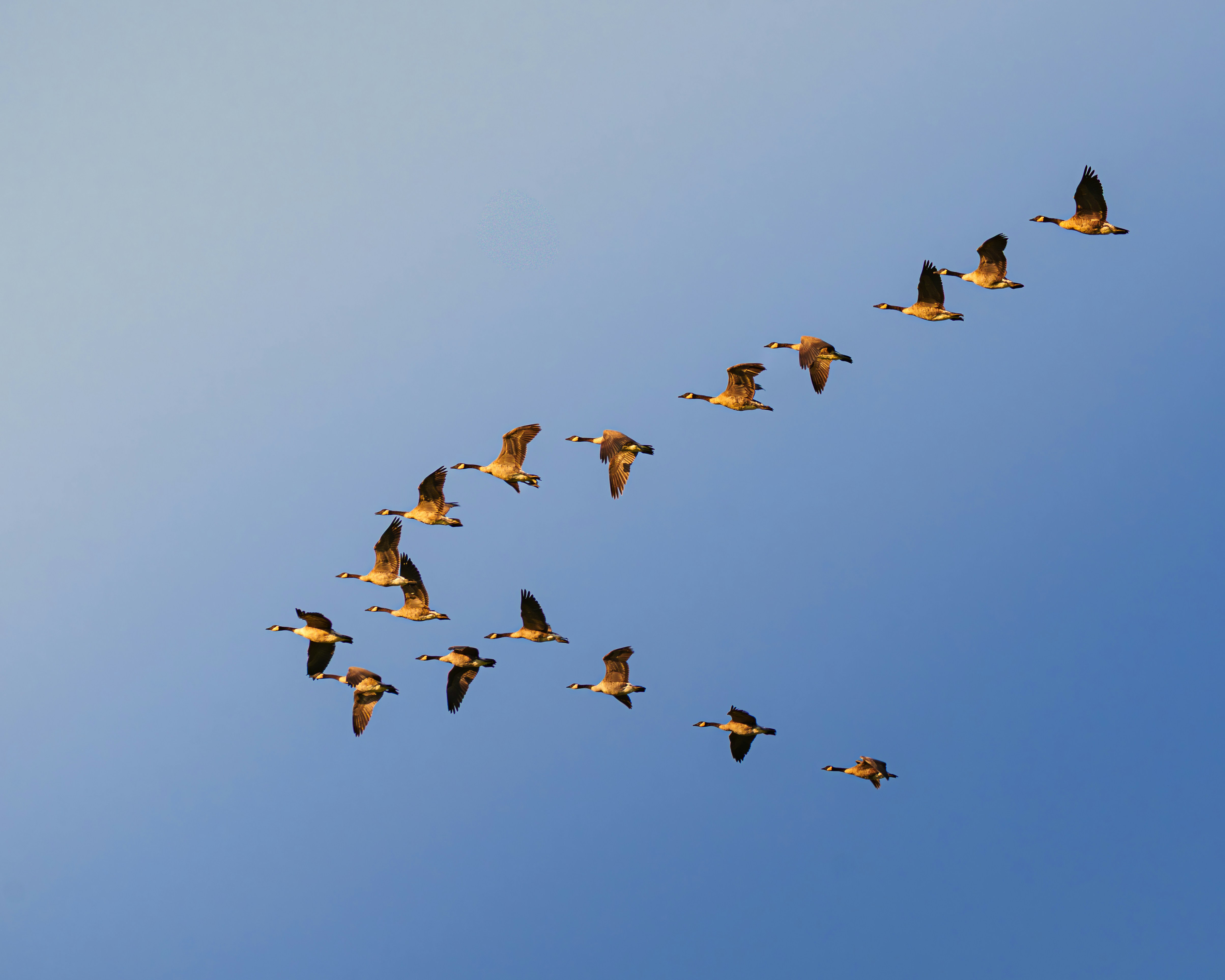 Feature image for Project Online Is Retiring: Why It Matters, and How to Migrate Successfully