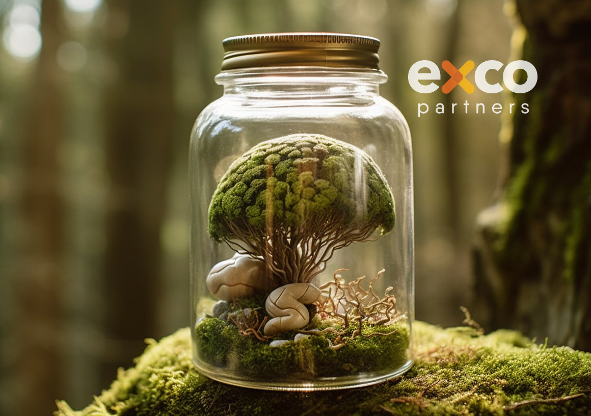 Feature image for Psychological drivers are key when designing experiences