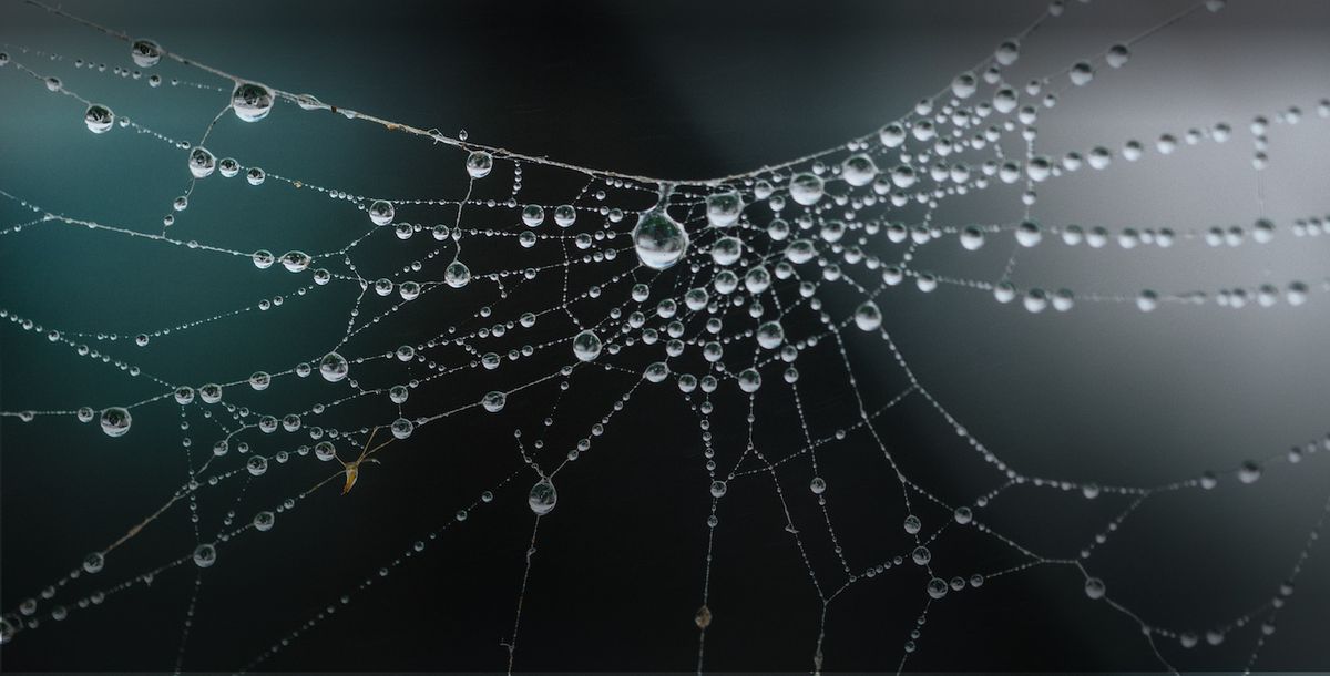 Project for the Web with Microsoft’s Project Accelerator