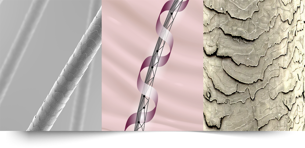 Cut-Blog-Nanoplasty-Jan26-Image-2.png