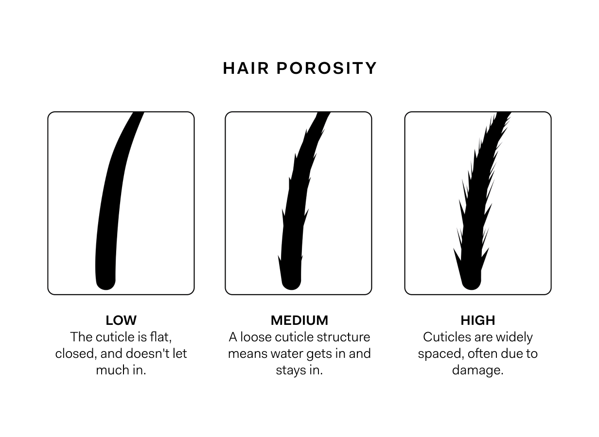 HAIR POROSITY.png
