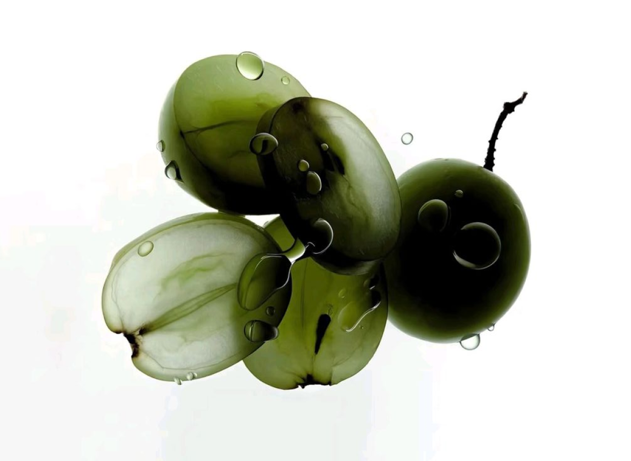 Native Australian botanicals.png