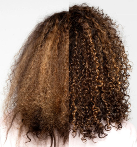 Meet The Freshest Frizz Fighters Since Forever!