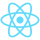 REACT icon