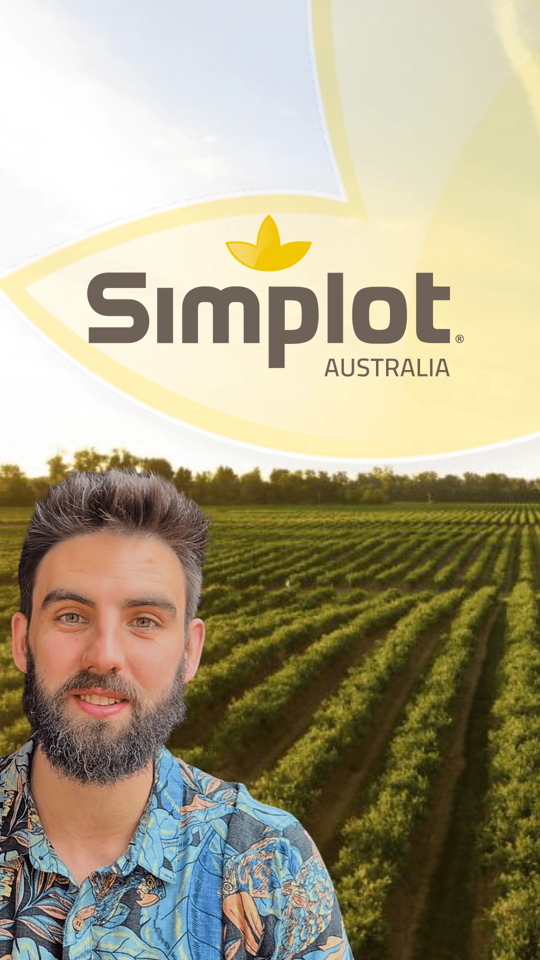 Thumbnail Image for :SIMPLOT