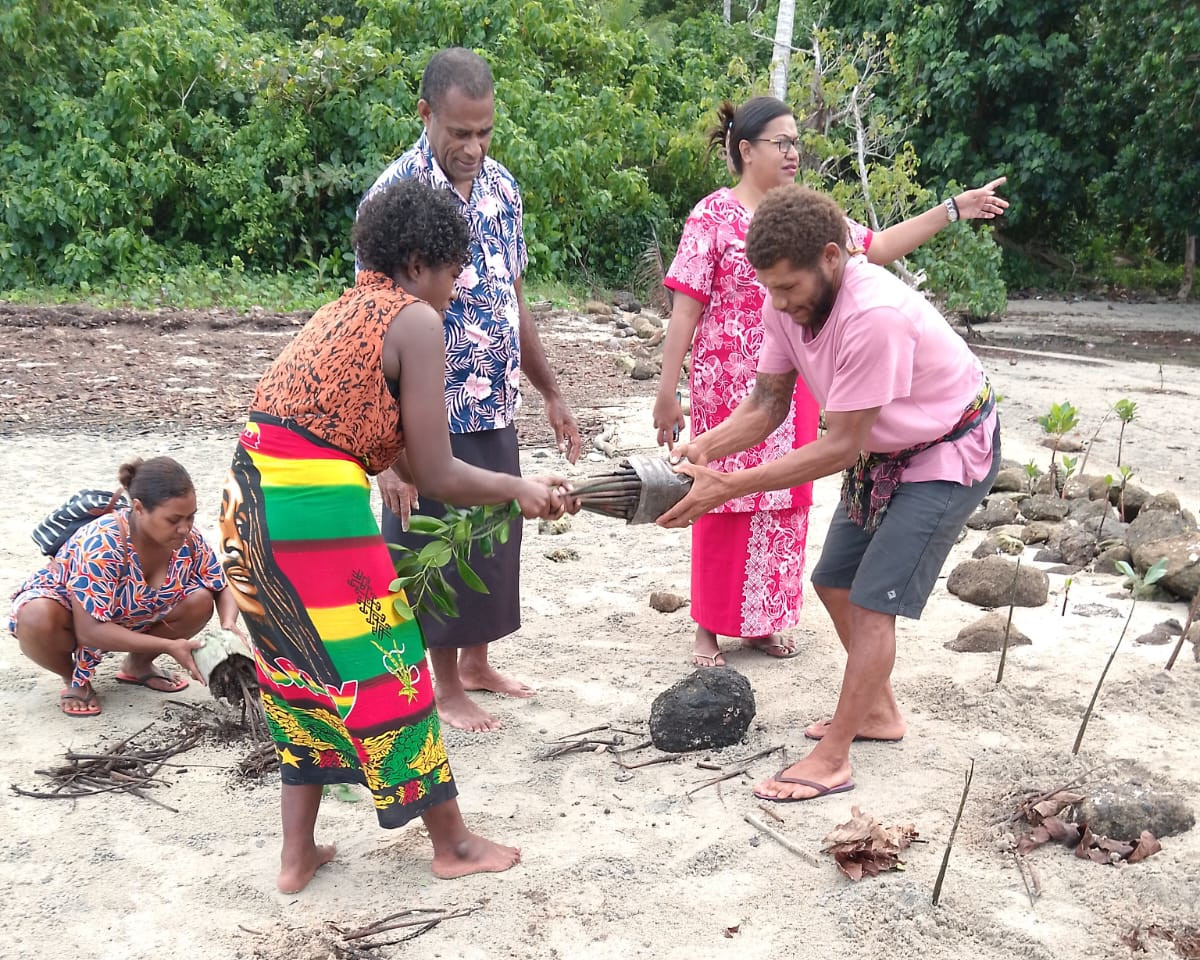 mangrove-planting.jpg